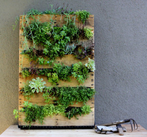 Vertical Garden