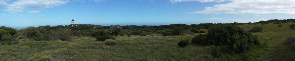 View from the middle of the plot