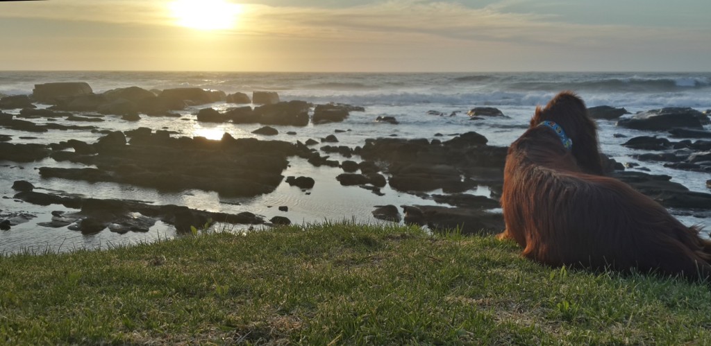 Mal and I enjoying the sunrise together