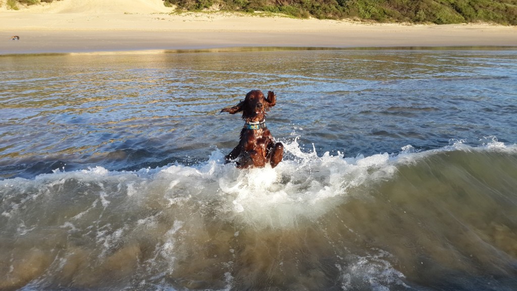 Mal's first swim