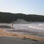 Kidds Beach, storm surge