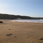 Kidds Beach, storm surge