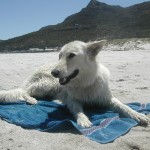 Chloe on Hout Bay beach