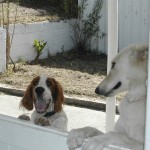 Chloe and Bono, Hout Bay beach