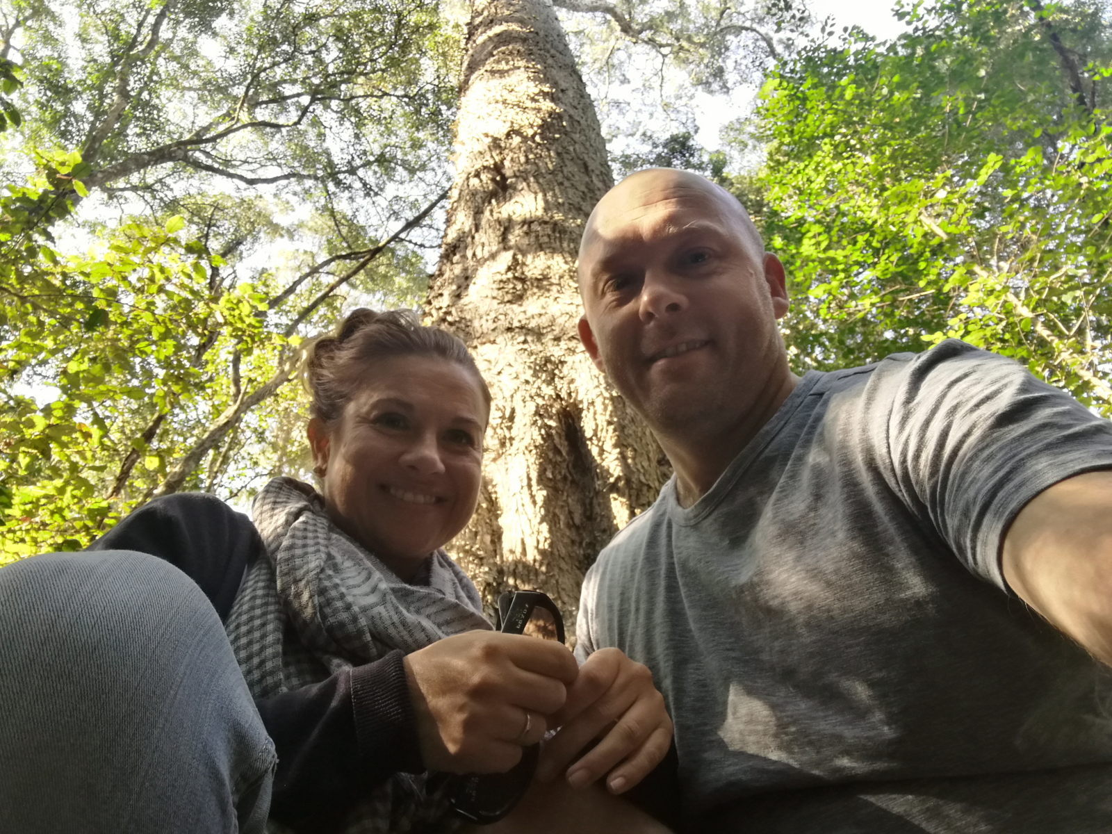 Selfie with a VERY big Yellow Wood Tree